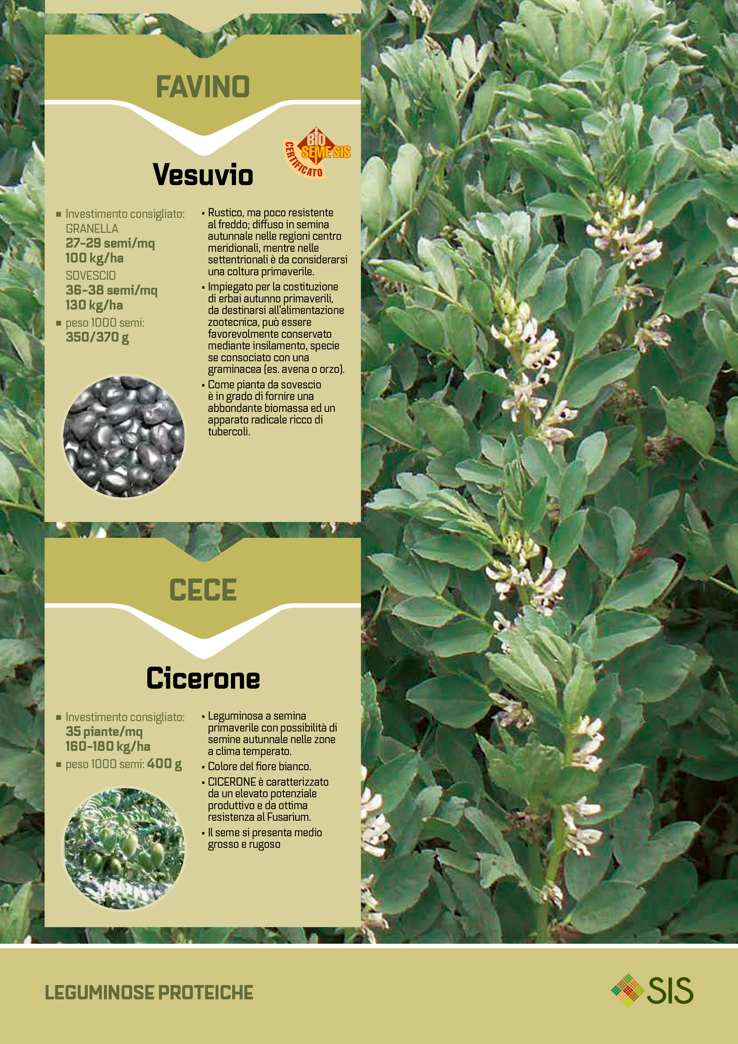 vesuvio-2015